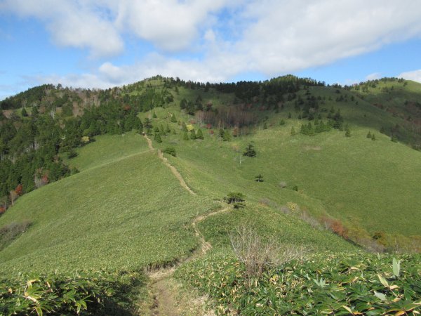 登山道